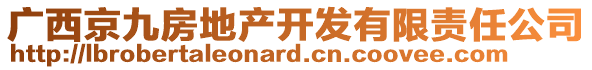 廣西京九房地產(chǎn)開發(fā)有限責(zé)任公司