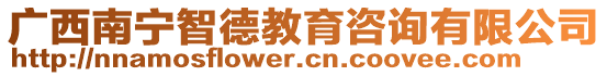 廣西南寧智德教育咨詢有限公司