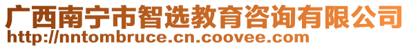 廣西南寧市智選教育咨詢有限公司