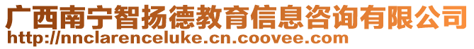 廣西南寧智揚德教育信息咨詢有限公司