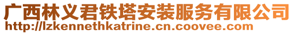 广西林义君铁塔安装服务有限公司