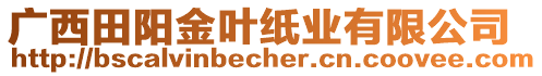 廣西田陽(yáng)金葉紙業(yè)有限公司