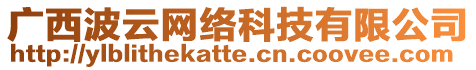 廣西波云網(wǎng)絡(luò)科技有限公司