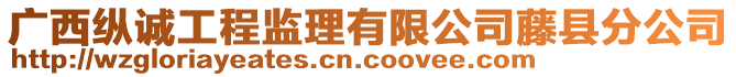 廣西縱誠(chéng)工程監(jiān)理有限公司藤縣分公司