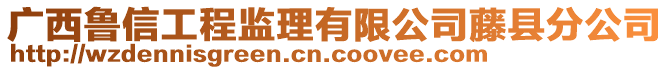 广西鲁信工程监理有限公司藤县分公司