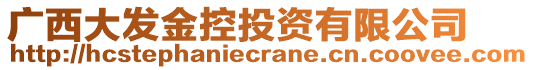 廣西大發(fā)金控投資有限公司