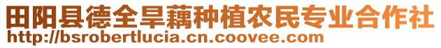 田阳县德全旱藕种植农民专业合作社