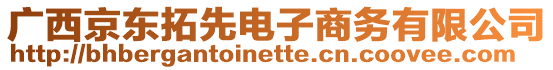 廣西京東拓先電子商務(wù)有限公司