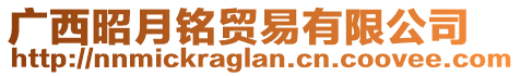 廣西昭月銘貿(mào)易有限公司