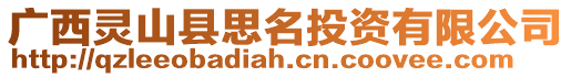 廣西靈山縣思名投資有限公司