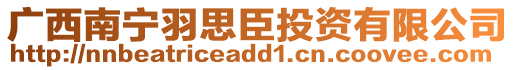 广西南宁羽思臣投资有限公司