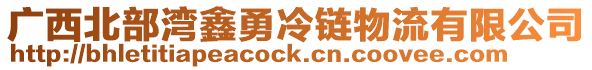 廣西北部灣鑫勇冷鏈物流有限公司