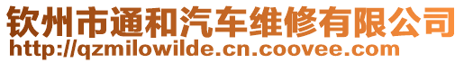 欽州市通和汽車維修有限公司