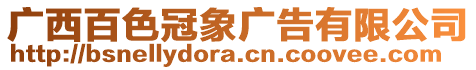 廣西百色冠象廣告有限公司