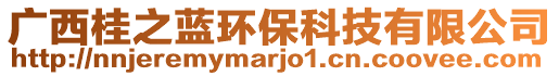 廣西桂之藍(lán)環(huán)保科技有限公司