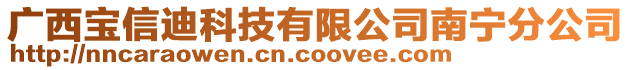 廣西寶信迪科技有限公司南寧分公司