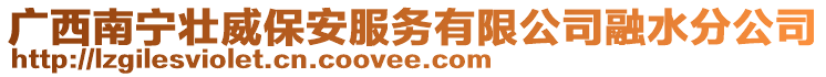 廣西南寧壯威保安服務有限公司融水分公司