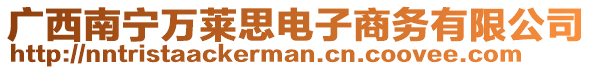 广西南宁万莱思电子商务有限公司