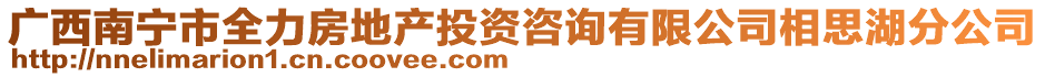 廣西南寧市全力房地產(chǎn)投資咨詢有限公司相思湖分公司