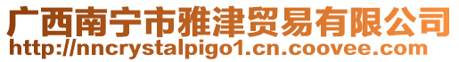 廣西南寧市雅津貿易有限公司