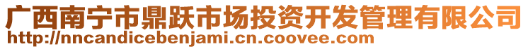 廣西南寧市鼎躍市場(chǎng)投資開(kāi)發(fā)管理有限公司