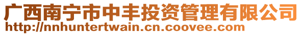 廣西南寧市中豐投資管理有限公司