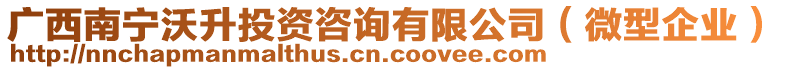 廣西南寧沃升投資咨詢有限公司（微型企業(yè)）