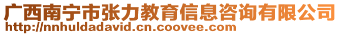 廣西南寧市張力教育信息咨詢有限公司