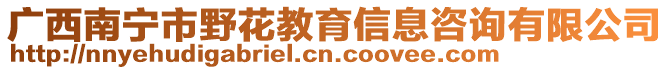 廣西南寧市野花教育信息咨詢有限公司