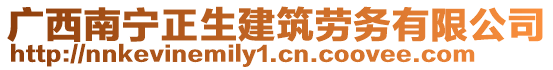 廣西南寧正生建筑勞務有限公司