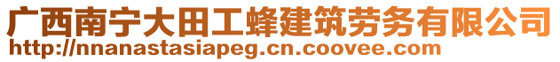 廣西南寧大田工蜂建筑勞務(wù)有限公司