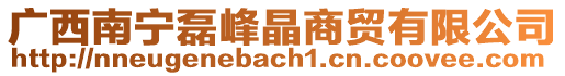 廣西南寧磊峰晶商貿有限公司