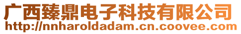 廣西臻鼎電子科技有限公司