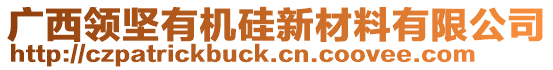 廣西領(lǐng)堅有機(jī)硅新材料有限公司