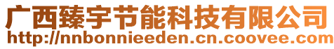 廣西臻宇節(jié)能科技有限公司