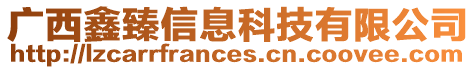 廣西鑫臻信息科技有限公司