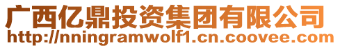 廣西億鼎投資集團(tuán)有限公司