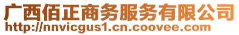 廣西佰正商務(wù)服務(wù)有限公司