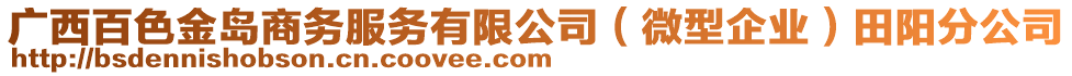 廣西百色金島商務(wù)服務(wù)有限公司（微型企業(yè)）田陽(yáng)分公司