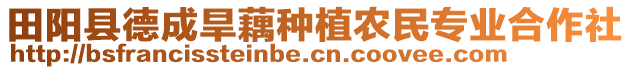 田陽縣德成旱藕種植農(nóng)民專業(yè)合作社