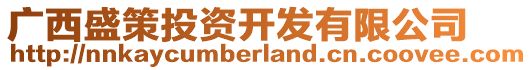 廣西盛策投資開發(fā)有限公司