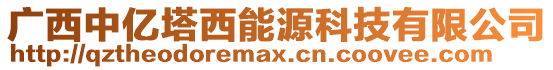 廣西中億塔西能源科技有限公司