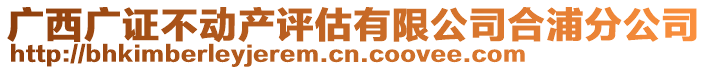 廣西廣證不動產(chǎn)評估有限公司合浦分公司