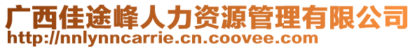 廣西佳途峰人力資源管理有限公司