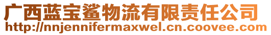 廣西藍(lán)寶鯊物流有限責(zé)任公司