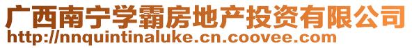 广西南宁学霸房地产投资有限公司