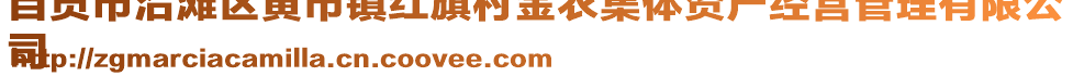 自贡市沿滩区黄市镇红旗村金农集体资产经营管理有限公
司