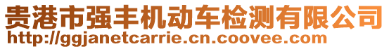 贵港市强丰机动车检测有限公司