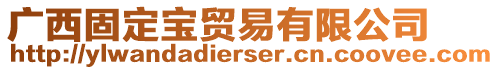 廣西固定寶貿(mào)易有限公司