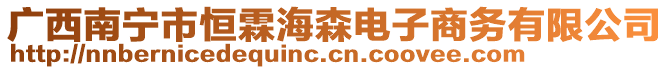 廣西南寧市恒霖海森電子商務(wù)有限公司